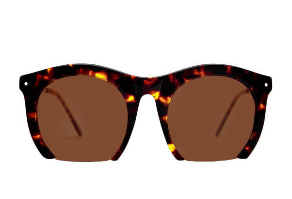 THE FOUNDRY: TORTOISE