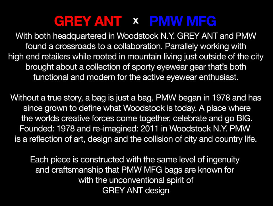 SWING CASE: Blue & Black